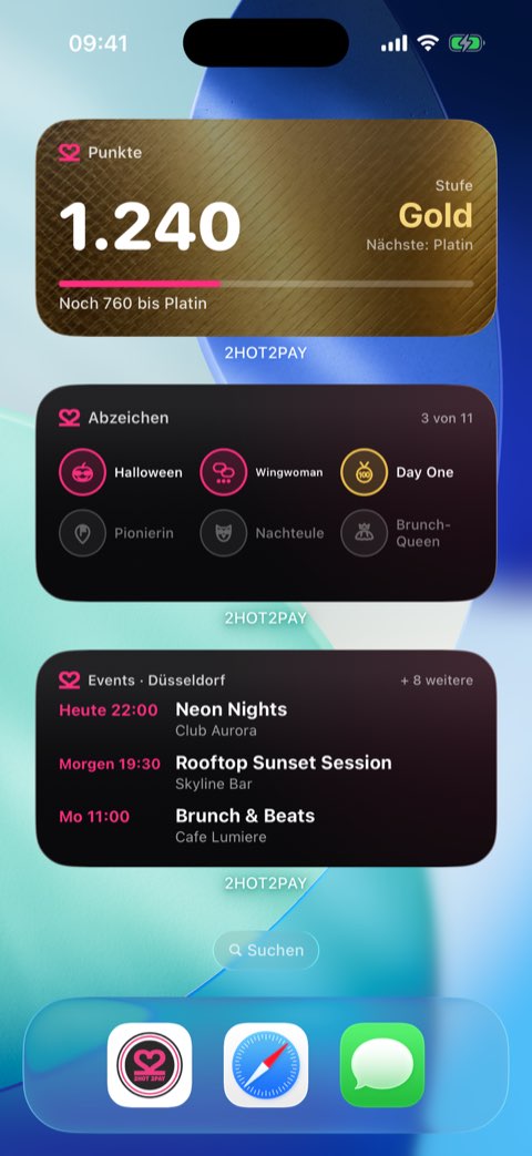 iPhone-Homescreen mit den drei 2HOT2PAY-Widgets, Beispielwerte